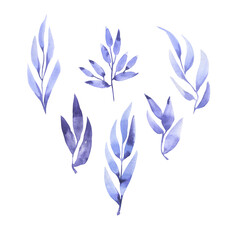 Set of decorative lilac leaves. Hand drawn watercolor illustration.