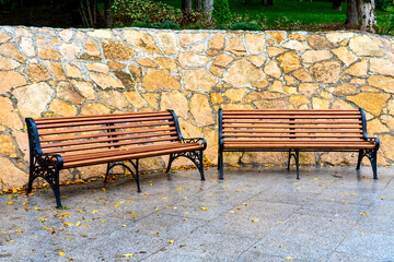 Wooden park bench in the park beautiful colorful park.