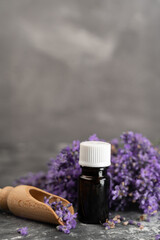 Glass bottle of Lavender essential oil with wooden scoop of lavender flowers on wooden scoop, aromatherapy spa massage. Lavandula oleum