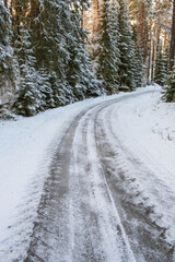 Slippery road in the woods in winter