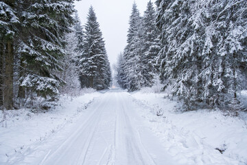 Fototapeta na wymiar Snowy road in the woods