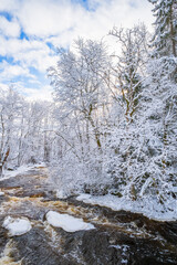 Fototapeta na wymiar Flowing river with ice in a snowy forest