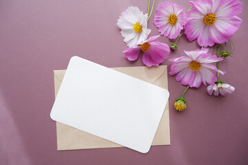 Beautiful autumnal flowers composition. Pink and white cosmos flowers with blank greeting card on pink brown background. Flat lay, top view, copy space. Autumn Greeting concept floral background.