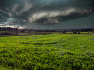 Fototapeta na wymiar Wheat field and a thunderstorm cell sown on the Greek island of Evia, Greece 
