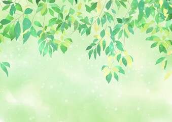 Fototapeta premium 水彩の葉 背景イラスト