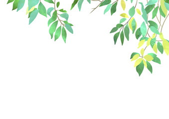 水彩の葉　ボタニカルフレーム