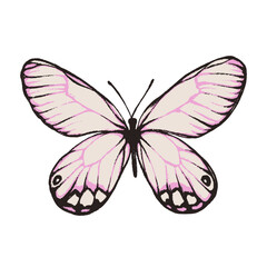 Artistic butterfly, brush and paint texture. Vector illustration
