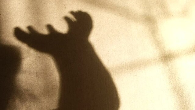 Child Hand Shadow Images – Browse 54,101 Stock Photos, Vectors, and ...