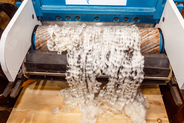 Cotton carding machine. Detail of Carding area. 