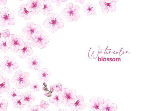Watercolor floral template of pink cherry, apple, almond or sakura blossoms. Botanical illustration of blomming tree. Hand drawn background for wedding design, invitation or stationery card print.