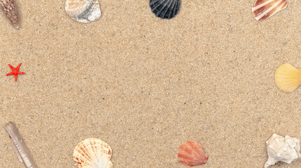 Coquillages sur fond de sable fin avec espace libre.	