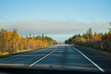Highway through the autumn forest. Autumn forest highway