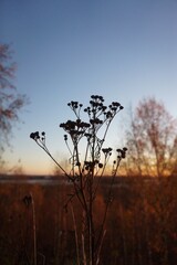 A beautiful October morning and its colors in Kokkola, Finland