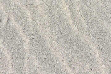 Sea Sand Beach Floor Background