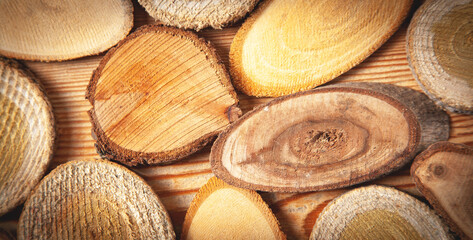 Slices of a tree on wooden background.