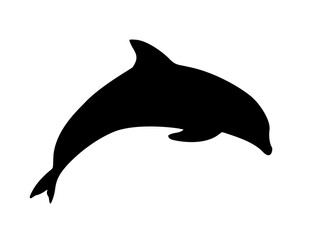 dolphin silhouette isolated on white