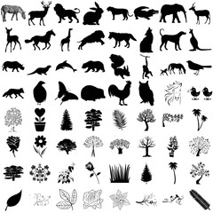 Animals and nature silhouette icons set