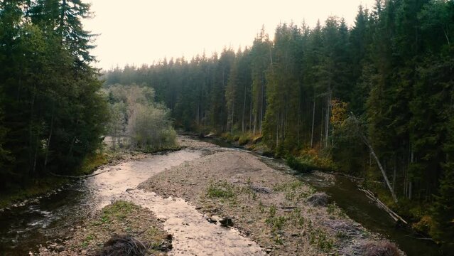 River in the autumn mountain forest. Drone view.