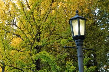街灯に明かりが灯った秋の公園