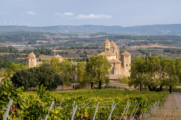 Fototapeta na wymiar Panoramic view of the royal monastery of Santa Maria de Poblet of the Cistercian order surrounded by vineyards in early autumn in Tarragona in Spain