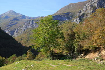 Fototapeta na wymiar Mountain landscape on a clear summer day.