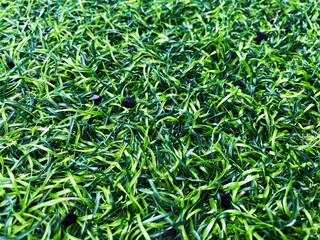 Green fake grass background texture. top view