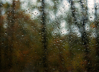 Close-up of raindrops running down the window. Autumn. Autumn background. Copy space.