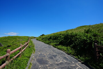 path to the sea