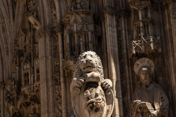 Lion scultpures of the Holy Cathedral Church of Toledo