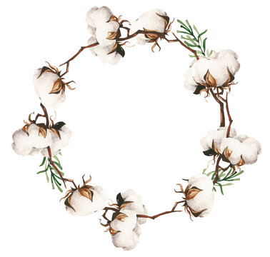 Watercolor Christmas winter cotton flower wreath. Cut out hand drawn PNG illustration on transparent background. Water colour clipart drawing.