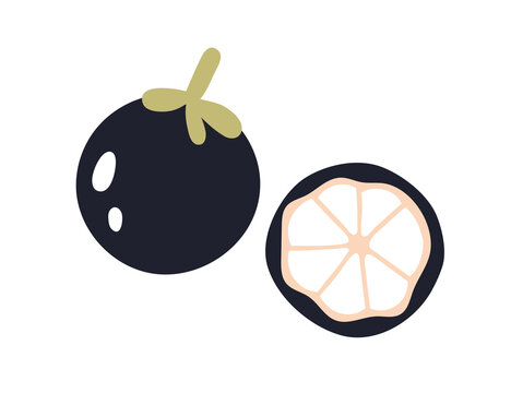 Mangosteen, cut half and whole fruit. Exotic mangosten cross-section, piece with ripe flesh, arils. Healthy natural vitamin food, eating. Flat vector illustration isolated on white background