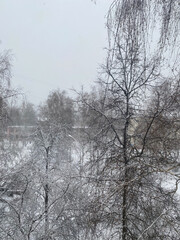 Eastern Europe gray melancholy. Snow covered trees. View from the window. 