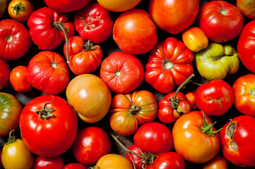 The last autumn harvest of tomatoes of different colors, sizes and ripeness.