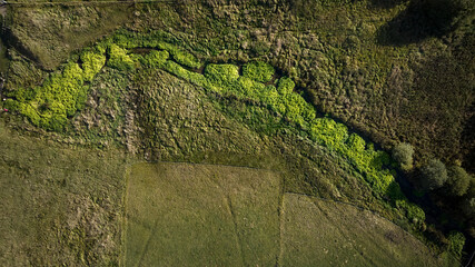 lake with moss in rebild bakker in denmark