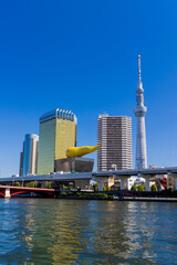 隅田川から東京スカイツリーの眺め
