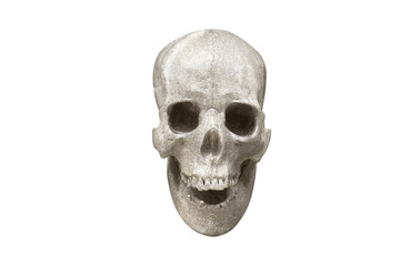 Artificial human skull on isolated white background