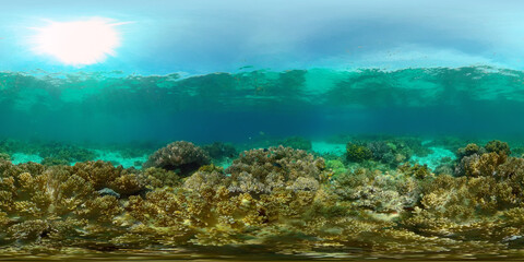 Naklejka na ściany i meble Scene reef. Marine life sea world. Underwater fish reef marine. Philippines. Virtual Reality 360.