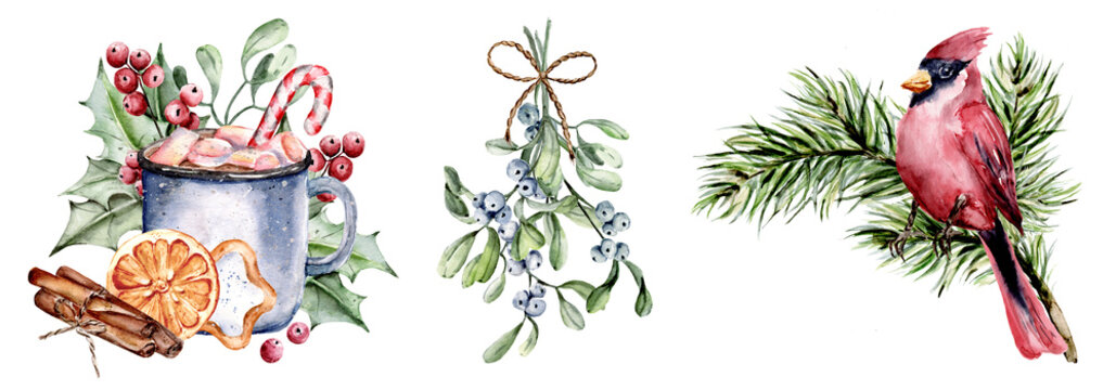 Christmas set, watercolor border. Cardinal bird, mistletoe, holly, spruce branch on white background. Hand painting winter holiday design.