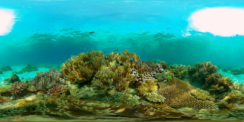 Colorful tropical coral reef. Hard and soft corals, underwater landscape. Travel vacation concept. Philippines. 360 panorama VR