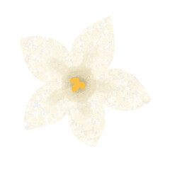 White textured flower with 5  petals. Png illustration of isolated flower element. Perfect for invitation card.