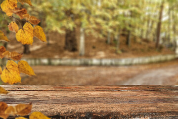 Desk of free space and autumn background of forest 