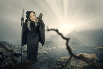 Old witch in a cloak with a stick standing on the field - obrazy, fototapety, plakaty