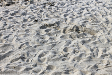 footprints in the sand bacground. copy space.