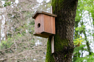 close-up Bird house on a tree. Wooden birdhouse, nesting box for songbirds in park.