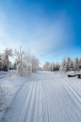 Ski Loipe für Wintersport im Erzgebirge