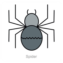 Spider