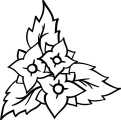 Christmas holly leaves with red berries