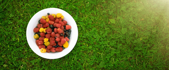 A white plate with raspberries and blueberries on the green grass. Summer vitamins from berries in a plate. Useful berries in the forest.