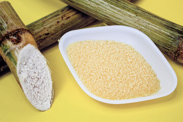 Natural sugarcane wax photoshoot, natural waxes, hands holding, glass bowl, sugarcane plant