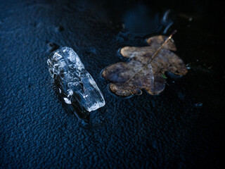 Ice & Leaf